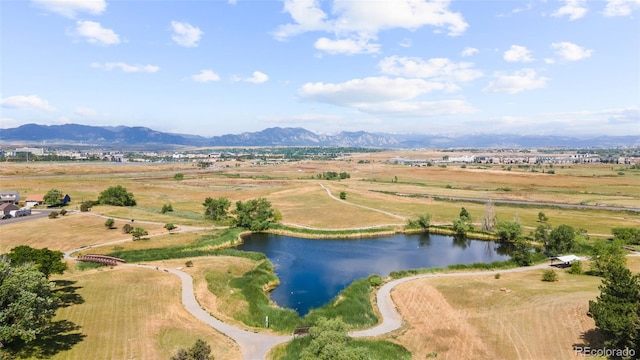 3156 W 11th Avenue Ct, Broomfield, CO 80020 - photo 31