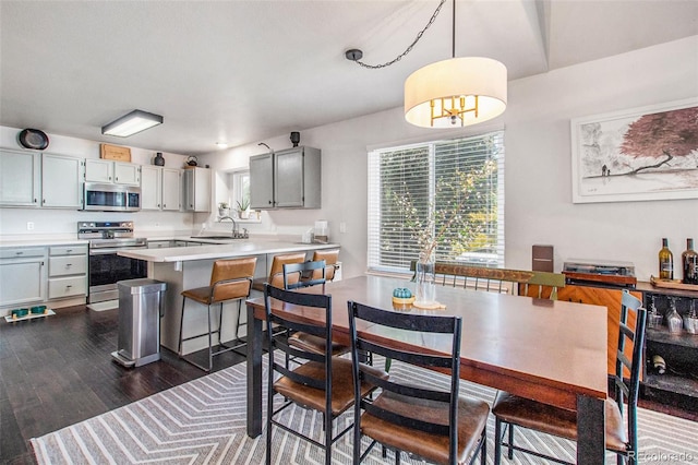 dining room with dark hardwood / wood-style floors and sink