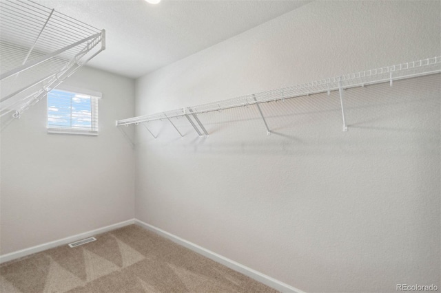 7307 Dolores Ave, Frederick, CO 80530 - spacious closet with carpet