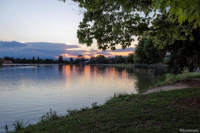 836 E 17th Ave Unit 1A, Denver, CO 80218 - water view