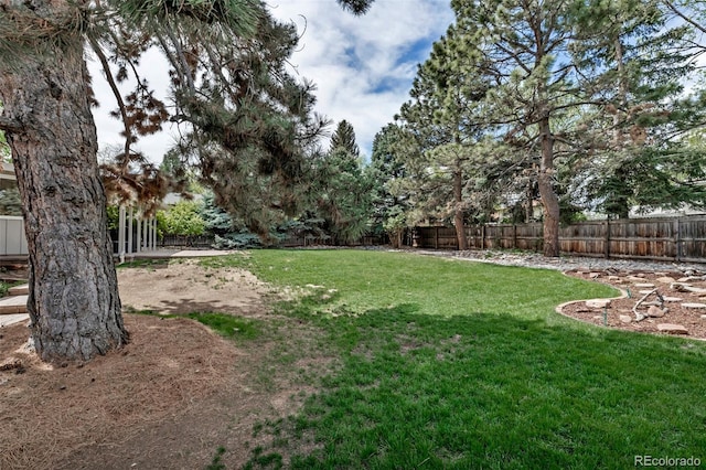 6211 S Garfield Dr, Centennial, CO 80121 - view of yard