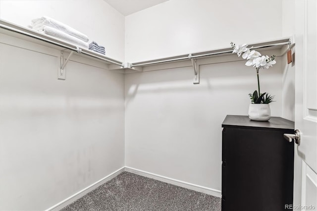 2958 Syracuse St Unit 214, Denver, CO 80238 - spacious closet with carpet flooring