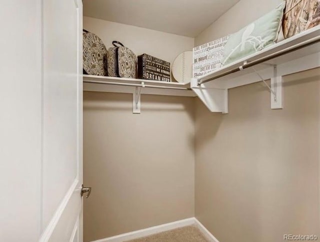 walk in closet featuring carpet