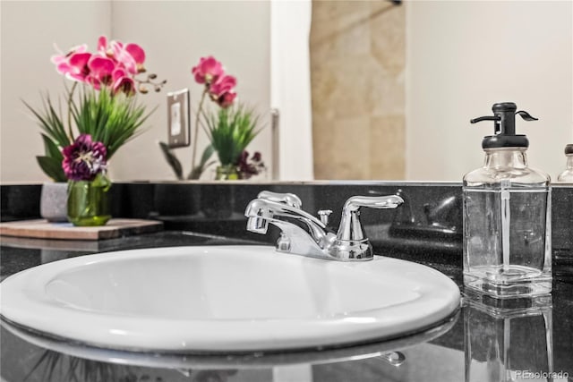 interior details with a sink