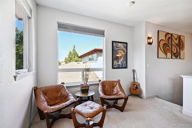 920 S Locust St Unit E, Denver, CO 80224 - sitting room featuring healthy amount of natural light and carpet