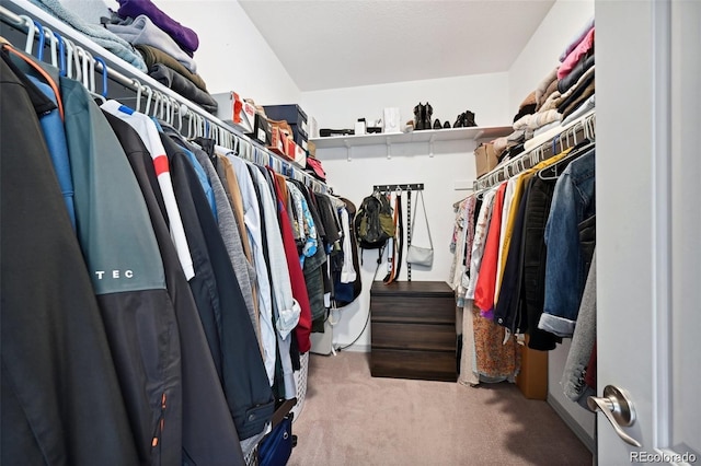 920 S Locust St Unit E, Denver, CO 80224 - spacious closet with carpet