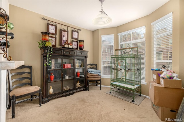 sitting room featuring carpet and baseboards