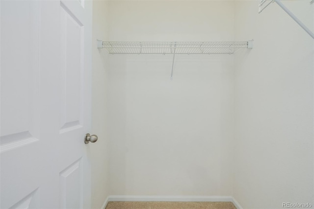 walk in closet featuring carpet