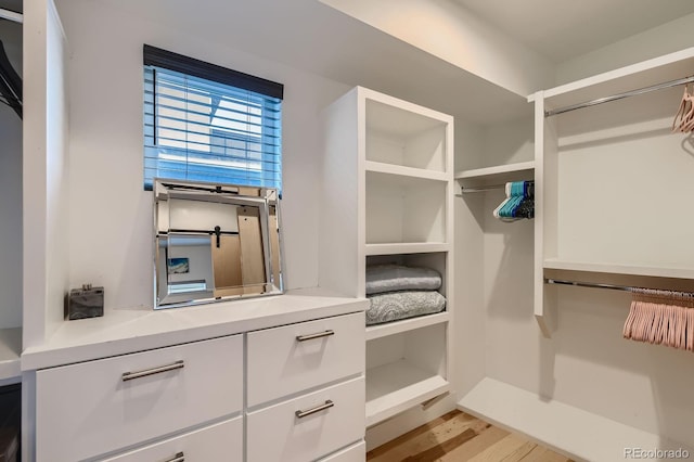 3632 N Pecos St, Denver, CO 80211 - walk in closet with light wood-type flooring
