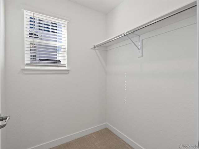 walk in closet with carpet