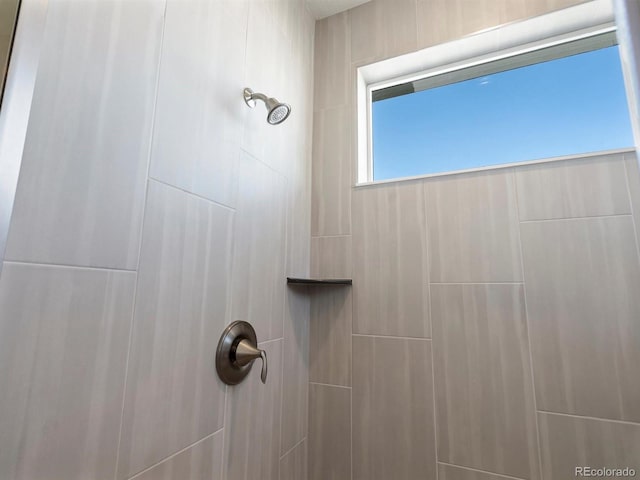 details with tiled shower