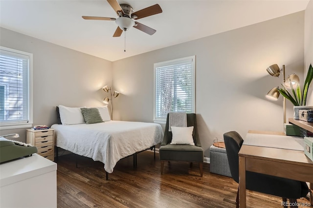 1171 Syracuse St, Denver, CO 80220 - bedroom featuring multiple windows, wood finished floors, and a ceiling fan