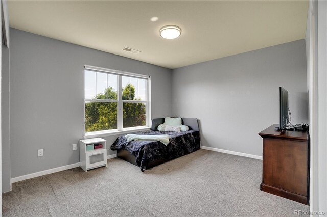 428 Starline Ave, Lafayette, CO 80026 - photo 13