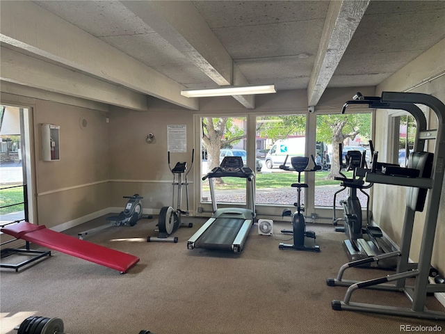 workout area featuring carpet