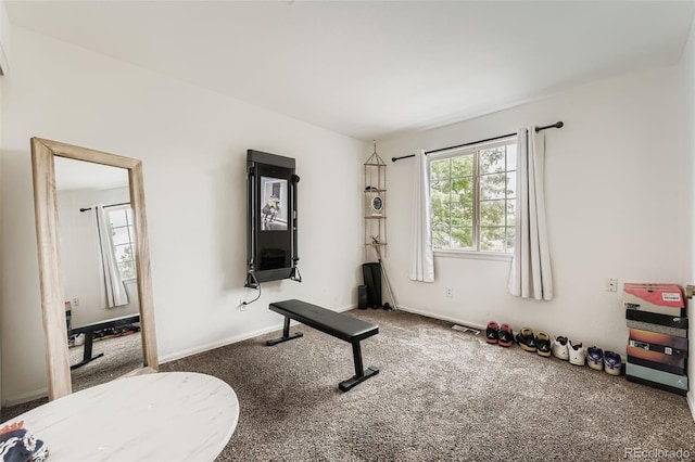 9559 Elizabeth Ct, Thornton, CO 80229 - workout room featuring carpet floors and baseboards