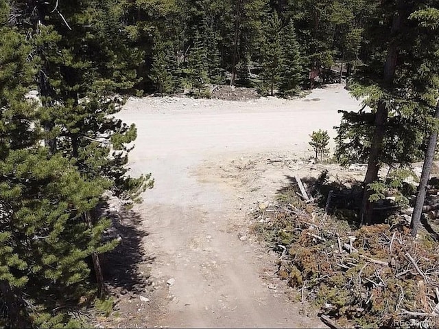 117 Miners Way, Fairplay, CO 80440