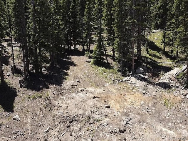 117 Miners Way, Fairplay, CO 80440