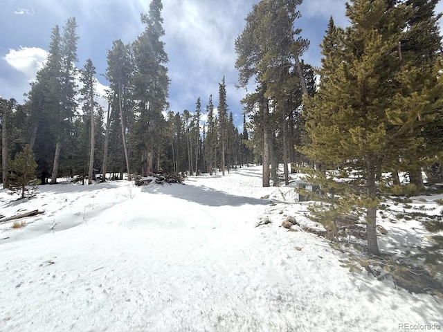 117 Miners Way, Fairplay, CO 80440