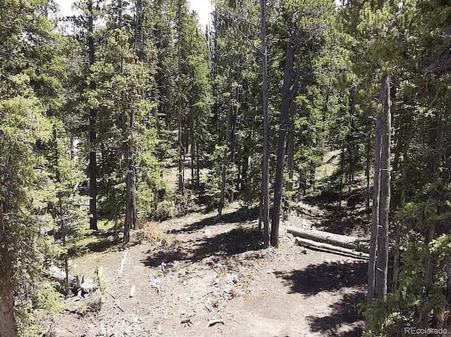 117 Miners Way, Fairplay, CO 80440