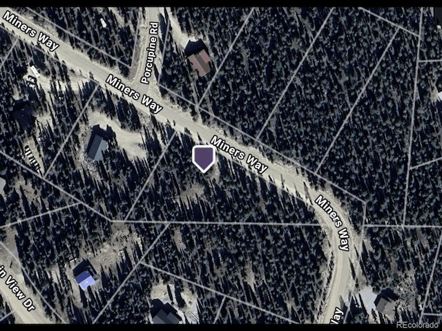 117 Miners Way, Fairplay, CO 80440