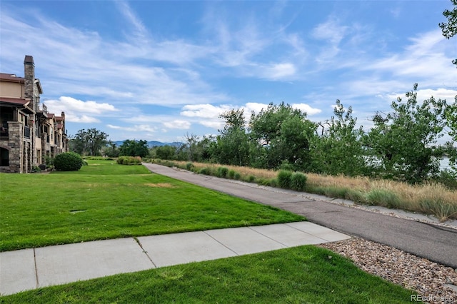 2198 Primo Rd Unit 206, Highlands Ranch, CO 80129 - photo 30