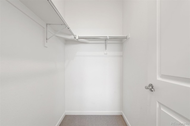 2140 Santini Trl Unit F, Littleton, CO 80129 - spacious closet with carpet flooring