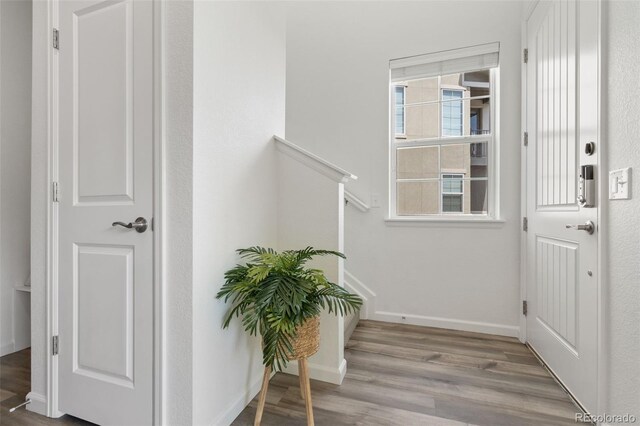 2140 Santini Trl Unit F, Littleton, CO 80129 - entrance foyer with wood finished floors and baseboards