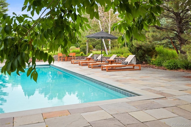swimming pool with a patio