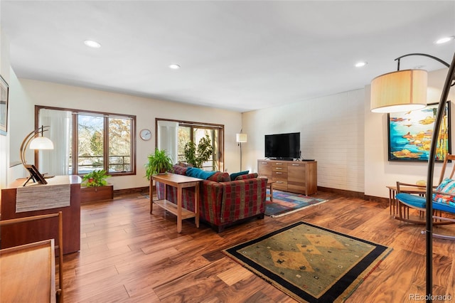 living room with dark hardwood / wood-style flooring