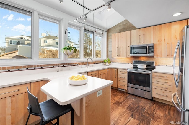 kitchen featuring vaulted ceiling, dark hardwood / wood-style floors, sink, stainless steel appliances, and light brown cabinets