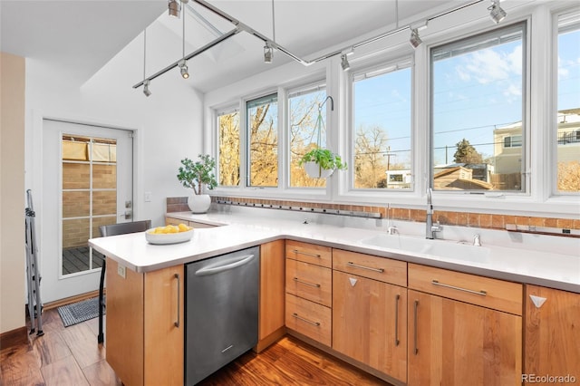 kitchen featuring rail lighting, sink, stainless steel dishwasher, kitchen peninsula, and dark wood-type flooring