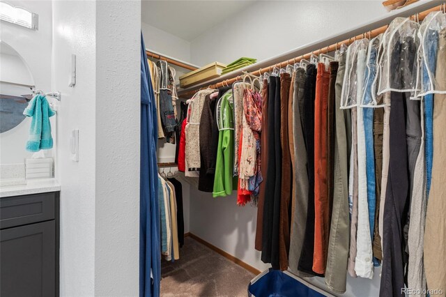 walk in closet featuring carpet floors