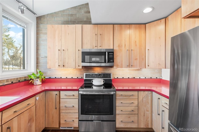 kitchen featuring tasteful backsplash, lofted ceiling, appliances with stainless steel finishes, and a wealth of natural light