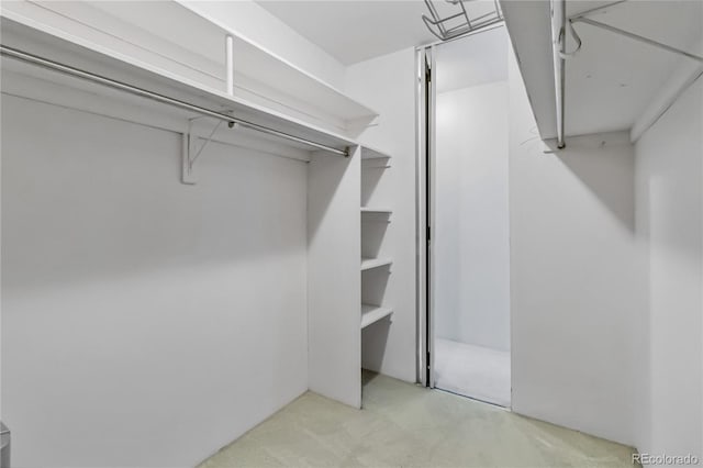 walk in closet featuring light carpet