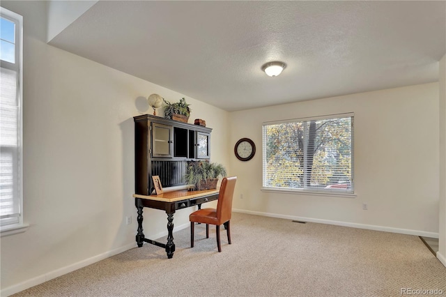 21541 Unbridled Ave, Parker, CO 80138 - office area featuring light carpet, baseboards, and a textured ceiling
