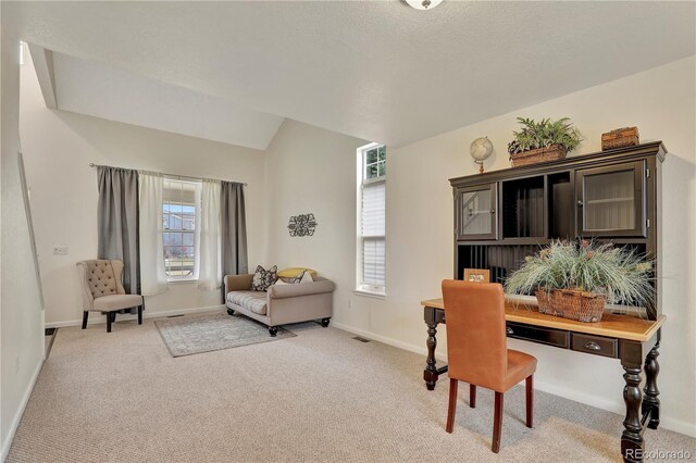 21541 Unbridled Ave, Parker, CO 80138 - office area featuring light colored carpet, baseboards, and vaulted ceiling