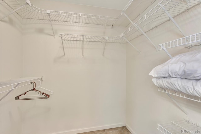 21541 Unbridled Ave, Parker, CO 80138 - view of spacious closet