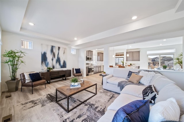 living room with a raised ceiling, light hardwood / wood-style flooring, and a healthy amount of sunlight