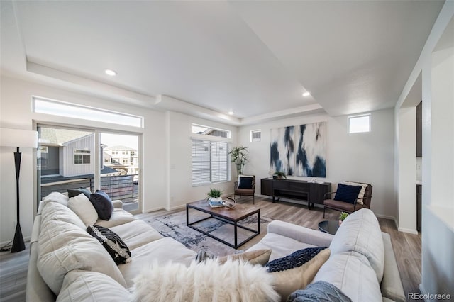 living room with light wood-type flooring and a tray ceiling