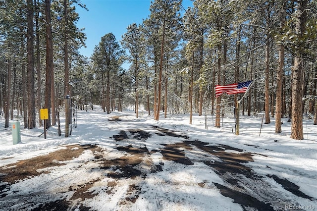 view of yard covered in snow