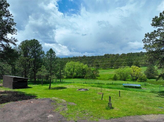 15120 State Highway 83, Colorado Springs, CO 80921 - photo 4