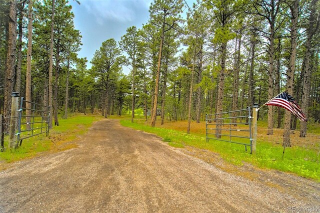 15120 State Highway 83, Colorado Springs, CO 80921 - photo 29