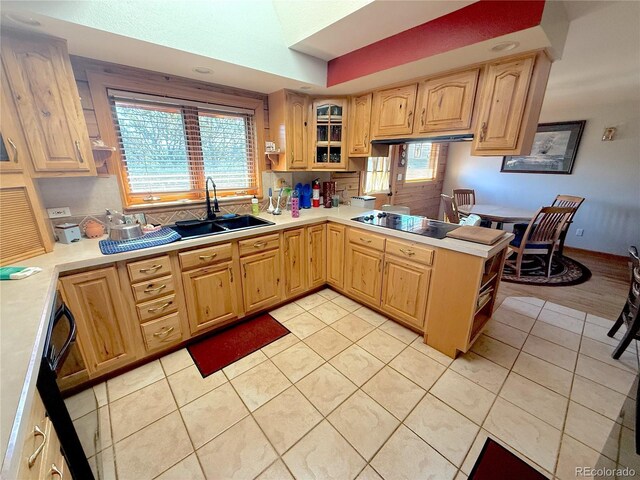 249 Hagerman Rd, Cotopaxi, CO 81223 - photo 3