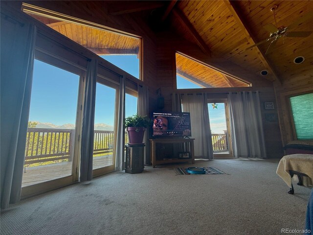 249 Hagerman Rd, Cotopaxi, CO 81223 - photo 10
