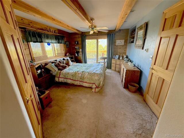 249 Hagerman Rd, Cotopaxi, CO 81223 - photo 14