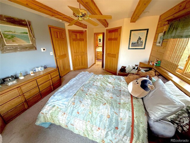 249 Hagerman Rd, Cotopaxi, CO 81223 - photo 15