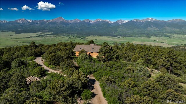 249 Hagerman Rd, Cotopaxi, CO 81223 - photo 26