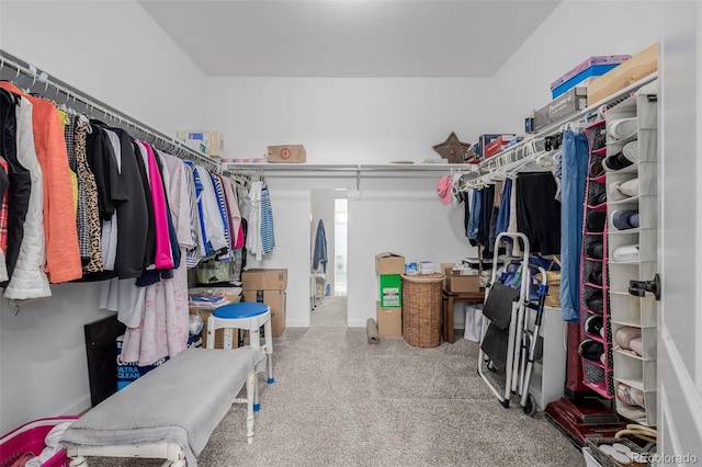 10761 N Montane Dr, Broomfield, CO 80021 - photo 21