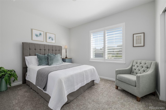 10761 N Montane Dr, Broomfield, CO 80021 - photo 22
