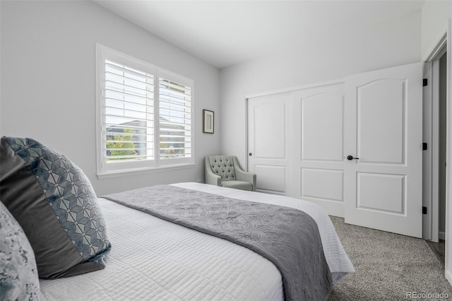 10761 N Montane Dr, Broomfield, CO 80021 - photo 23